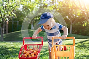 Portrait of small caucasian cute blond toddler boy holding toy shopping cart full of sweet ripe apricots against green