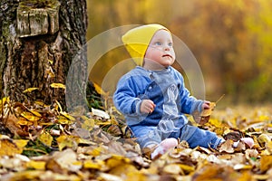 Portrait of a small child. Girl sitting on a carpet of autumn leaves near a tree in the park