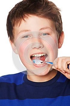 Portrait, smile and child brushing teeth in studio isolated on a white background. Face, boy and kid with tooth brush
