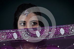 Portrait of smiling beautiful indian girl wearing traditional purple clothes