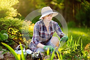 Portrait of smiling beautiful middle age female gardener