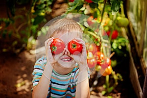 Portrait smiling boy holding red ripe tomatoes before his eyes i