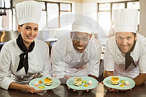 Portrait of smiling chefs team holding dessert plates