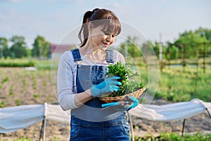 Portrait of smiling farmer woman with basket of parsley herbs