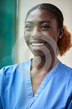 Portrait Of Smiling Female Nurse Or Doctor Wearing Scrubs Through Window