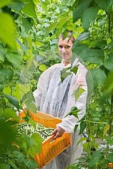 Portrait of smiling female researcher carrying crate of green be