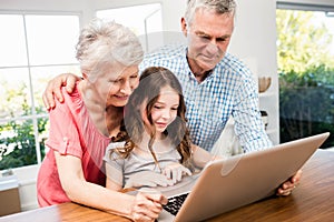 Portrait of smiling grandparents and granddaughter using laptop