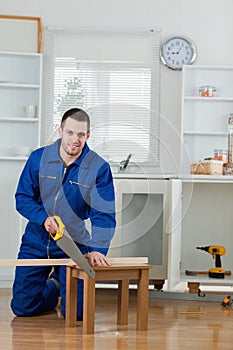 Portrait of a smiling handyman