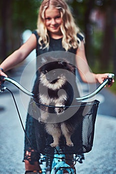 Portrait of a little blonde girl in a casual dress, holds cute spitz dog. Ride on a bicycle in the park.