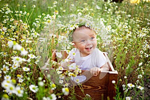 Portrait of a smiling little girl of 7 months sitting on a chamomile field in a wreath in a white dress, a healthy walk in the