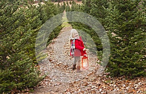 Portrait of smiling little girl walking with lantern