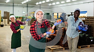 Portrait of smiling male and female workers posing and having fun at warehousing with crop of vegetable