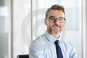 Portrait of smiling mature businessman at work