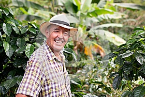 Portrait of a smiling senior farmer. Coffee farmer wearing hat. Happy old man in a Colombian coffee crop.