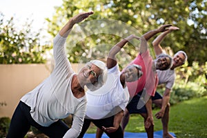 Portrait of smiling senior friends exercising with arms raised