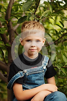 Portrait of smiling seven year old boy. Seven year old boy with