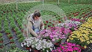 Portrait of smiling successful floriculturist engaged in cultivation of potted ornamental plants, showing young