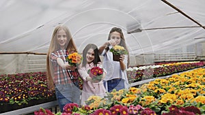 Portrait of smiling three girls stretching synchronously flower pots