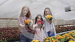 Portrait of smiling three girls stretching synchronously flower pots