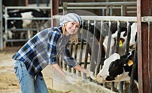 Portrait of smiling veterinary technician feeding cows