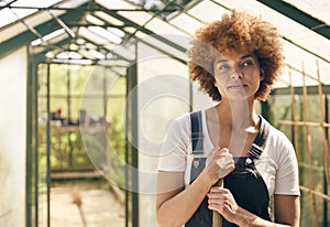 Portrait Of Smiling Woman With Broom Working In Greenhouse At Home