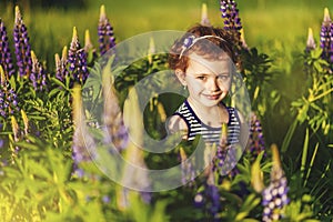 Portrait of smiling 5 years old girl in blooming lupins field in sunset time. Sunny evening in end of spring. Flowers of lupins