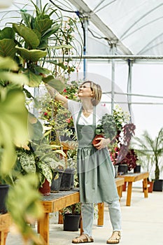 Portrait of smiling young botanist holding a fresh flower plant. Young woman holding small tree in pot in gardening