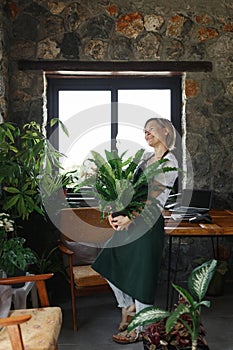 Portrait of smiling young botanist holding a fresh flower plant. Young woman holding small tree in pot in gardening