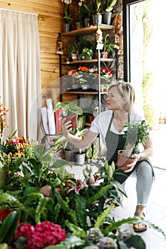 Portrait of smiling young botanist holding a fresh flower plant. Young woman holding small tree in pot in gardening