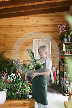 Portrait of smiling young botanist holding a fresh flower plant. Young woman holding small tree in pot in gardening
