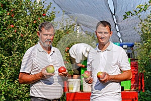 Portrait of Son and Father With Freshly Picked Apples in Hands