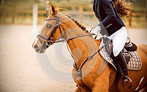 Portrait of a sorrel horse with a braided mane and a rider in the saddle, who gallops through the arena on a summer day.