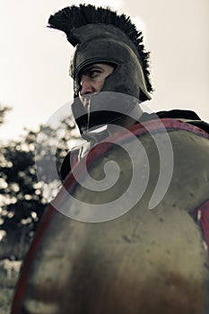 Portrait of Spartan warrior in battle dress