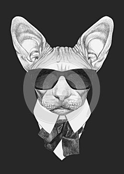 Portrait of Sphynx Cat in suit. Hand-drawn illustration. photo