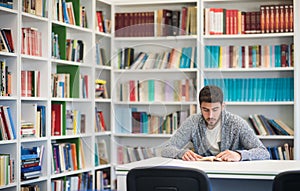 Portrait of student while reading book in school library