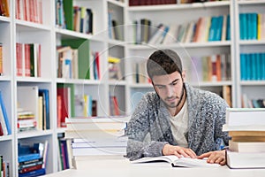 Portrait of student while reading book in school library