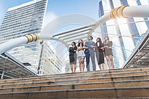 Portrait of successful group of business people looking up to sky as future. Happy businessmen and businesswomen team in