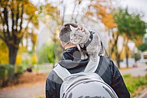 Portrait of tall young Caucasian happy man outdoor playing with gray funny handsome kitten sits on his back on transparent cat