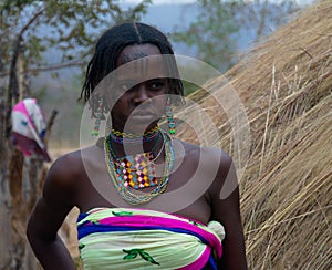 Portrait of tattooed Mbororo aka Wodaabe tribe woman Poli, Cameroon