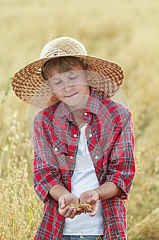 Portrait of teenage farmer boy is checking oat seeds in cupped palms at harvest time field