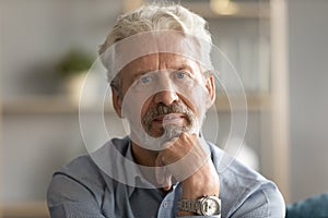 Portrait of thoughtful pondering middle aged hoary man touching chin.