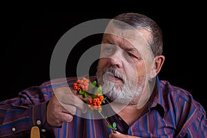 Portrait of a thoughtful senior man in striped shirt with small branch of Chinese Schizandra