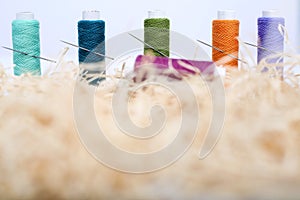 Portrait of thread with needle on the rafi grass