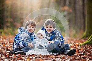 Portrait of three boys, brothers, in the forest, autumn