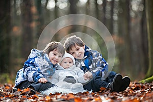 Portrait of three boys, brothers, in the forest, autumn