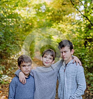 Portrait of three boys, brothers standing in forest.