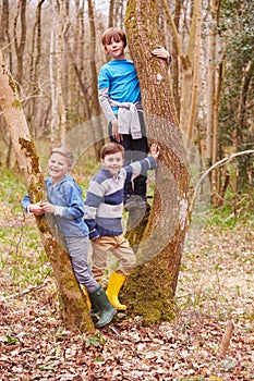 Portrait Of Three Boys Playing Game In Forest