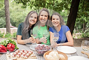 Portrait Of Three Mature Women Enjoying Barbeque Party , Drinking Wine And Smiling