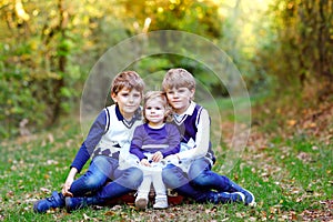 Portrait of three siblings children. Two kids brothers boys and little cute toddler sister girl having fun together in