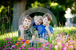 Portrait of three siblings children. Two kids brothers boys and little cute toddler sister girl having fun together on